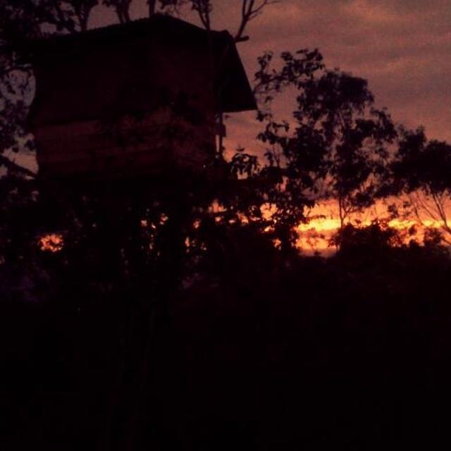 Rumah Pohon Batununggul Zewnętrze zdjęcie