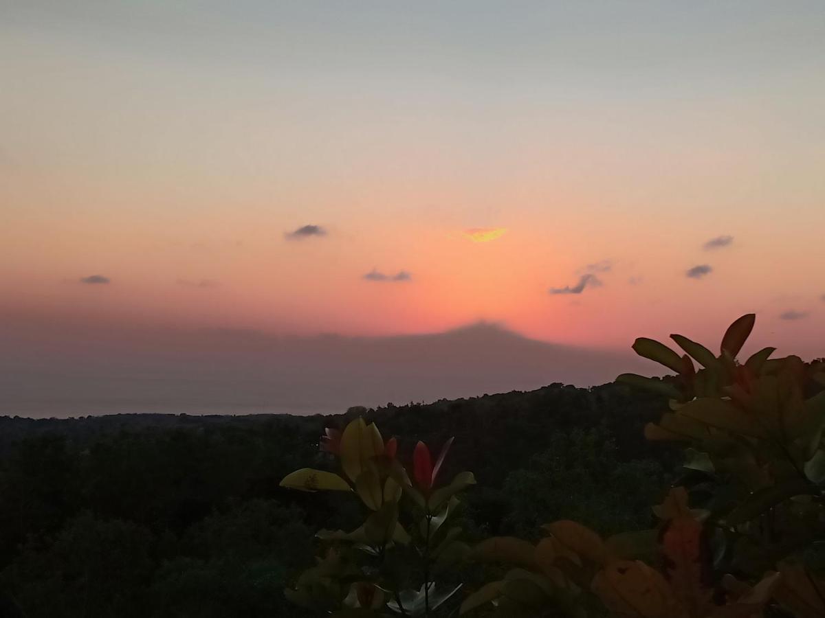 Rumah Pohon Batununggul Zewnętrze zdjęcie